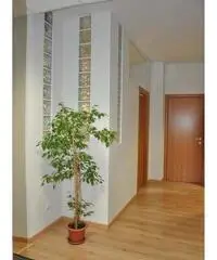 Affitto uffici da vedere