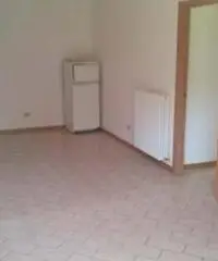 Saltara Vendita Appartamento