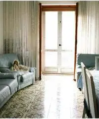 TRIVANO CON AGIBILITA'