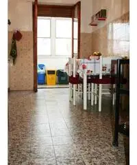 TRIVANO CON AGIBILITA'