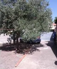 CASA INDIPENDENTE CON GIARDINO