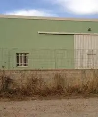 CAPANNONE AL CENTRO DELLA SARDEGNA CAPANNONE AL CENTRO DELLA SARDEGNA