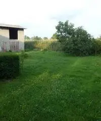 Codogne: Casa indipendente 5 Locali o piu