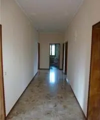 Codogne: Casa indipendente 5 Locali o piu