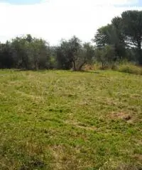 Lamporecchio Affitto Appartamento