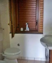Rustico in Affitto