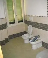 Appartamento in Affitto di 56mq Appartamento in Affitto di 56mq