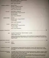 Cerco lavoro