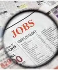 Babysitter zona Bologna Babysitter zona Bologna