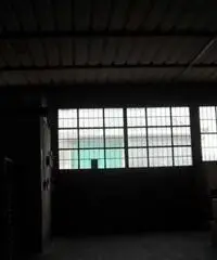 Capannone in Vendita