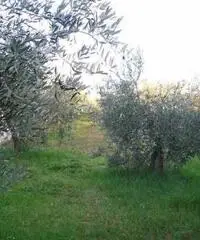 Lanciano Vendita Terreno Lanciano Vendita Terreno