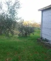 Lanciano Vendita Terreno Lanciano Vendita Terreno