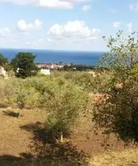 Messina: Terreno Agricolo Messina: Terreno Agricolo