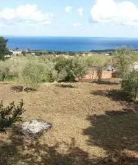 Messina: Terreno Agricolo Messina: Terreno Agricolo