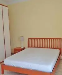 Mondovi: Appartamento Bilocale