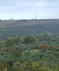 Appartamento a Cupello in provincia di Chieti