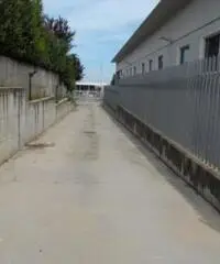 Affitto Capannone in strada Provinciale 216