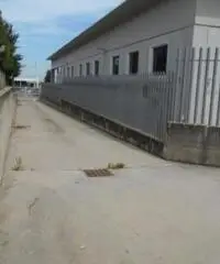 Affitto Capannone in strada Provinciale 216