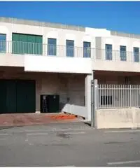 Affitto Capannone in Via Maremmana