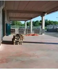 Affitto Capannone in Via Maremmana