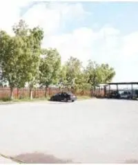 Affitto Capannone in via Idra