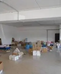 Affitto Capannone in via della Sviluppo