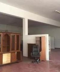 Affitto Capannone in Via Cancelliera, 56