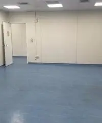 Affitto Capannone in Via Pontina Vecchia