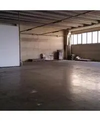 Affitto Capannone in Via Traspontina