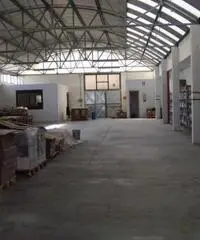 Affitto Capannone in Via della Neccia Ovest