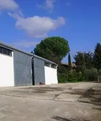 Affitto Capannone in Via della Neccia Ovest