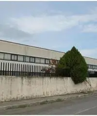 Affitto Capannone in via della fisica snc