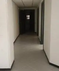 Affitto Capannone in via della fisica snc