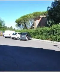 Affitto Capannone in Vicolozzo di Spinetta