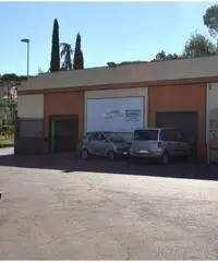 Affitto Capannone in Vicolozzo di Spinetta