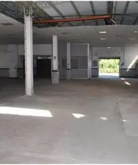 Affitto Capannone in Vicolozzo di Spinetta