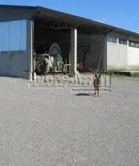 Affitto Magazzino da 480mq