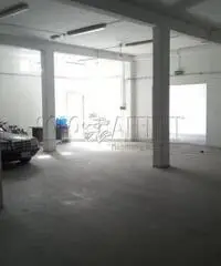 Affitto Magazzino in via dei glicini