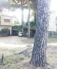 Affitto Magazzino in Via Spinabella