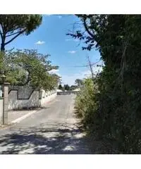 Affitto Magazzino in Via Appia Nuova, 21