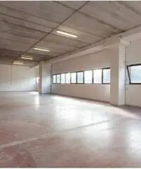 Affitto Magazzino in Via degli Olmetti