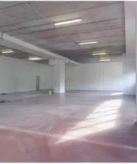 Affitto Magazzino in Via degli Olmetti