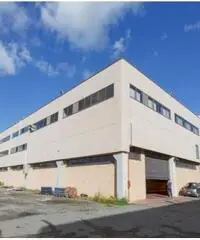 Affitto Magazzino in Via degli Olmetti