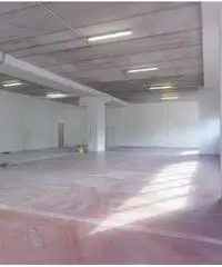 Affitto Magazzino in Via degli Olmetti