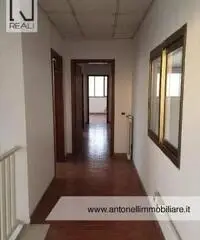 Albano Laziale -  Capannone 9 locali € 3.000 CA902