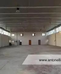 Albano Laziale -  Capannone 9 locali € 3.000 CA902