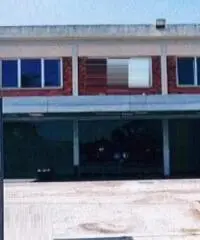 Campo Jemini: Vendita Capannone in S.R. 148 Pontina al Km 28,000 Campo Jemini: Vendita Capannone in S.R. 148 Pontina al Km 28,000