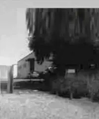 Cecchina: Vendita Capannone in via Catania