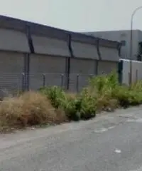 Cecchina: Vendita Capannone in Via Cancelliera