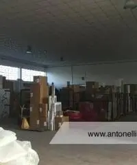 Ciampino -  Capannone C1/C2/C3 € 7.000 CA906